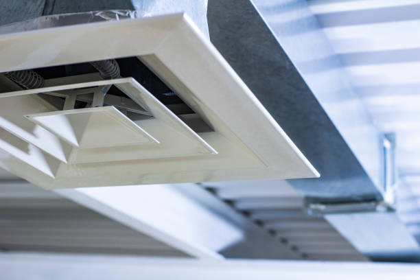 Best Air Duct Mold Removal  in Chattanoo Valley, GA