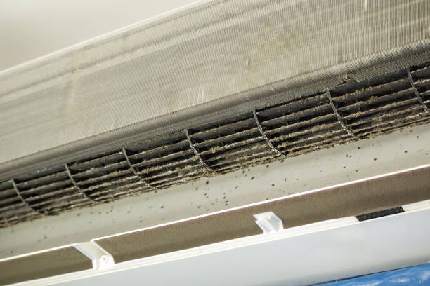 Best Emergency Air Duct Cleaning  in Chattanoo Valley, GA
